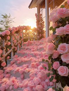 pink roses are growing on the steps leading up to a building with a sunset in the background