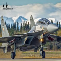 a fighter jet taking off from an airport runway with trees in the background and snow capped mountains in the distance