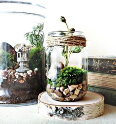 two glass jars filled with plants and rocks sitting on top of a wooden table next to books