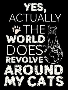 a black shirt with white lettering that says, yes actually the world does revolve around my cats