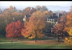 trees with orange and yellow leaves are in the foreground as people walk by on a path