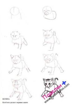 several different types of cats drawn on paper