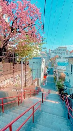 the stairs lead up to an alley with cherry blossom trees in bloom on either side