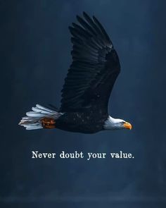 an eagle flying in the sky with a quote on it's side that says never doubt your value