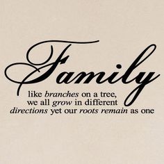 family like branches on a tree, we all grow in different directions you're roots remain as one