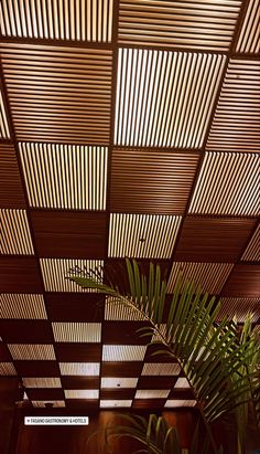 the ceiling is made out of wooden planks and has plants growing in front of it