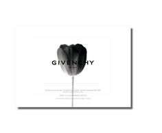 a black and white photo of a tulip with the words given y on it