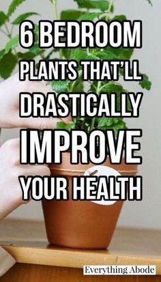 someone is holding a potted plant with the words 6 bedroom plants that'll dramatically improve your health