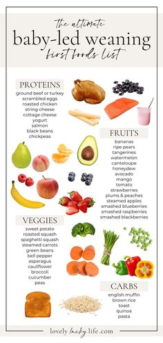 the ultimate baby - led weaning info sheet is shown with fruits and vegetables