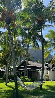 a hammock between two palm trees in front of a house with mountains in the background