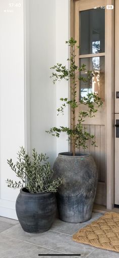 two large vases sitting next to each other in front of a door with plants growing out of them