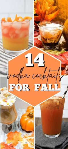 vodka cocktails for fall Cute Fall Alcohol Drinks, Whipped Vodka Fall Drink, Fun Mix Drinks, Signature Drink Recipes, November Drinks Alcohol, Seasonal Alcoholic Drinks, Sweet Fall Cocktails, Easy Fall Drinks Alcohol Recipes, Best Fall Drinks Alcohol