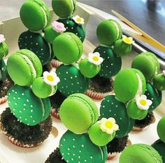 cupcakes with green frosting and flowers on them are arranged in the shape of cactuses