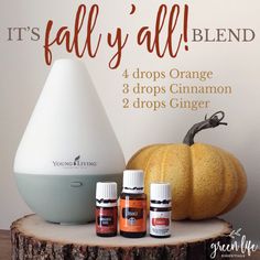 Fall Essential Oils, Fall Diffuser Blends, Essential Oil Diffuser Blends Recipes, Fall Nature, Young Living Essential Oils Recipes, Clove Essential Oil, Ginger Essential Oil, Essential Oils Health, Essential Oil Diffuser Recipes