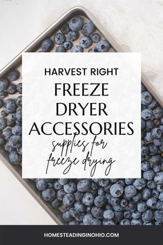 blueberries in a metal pan with the words harvest right freeze dryer accessories supplies for face