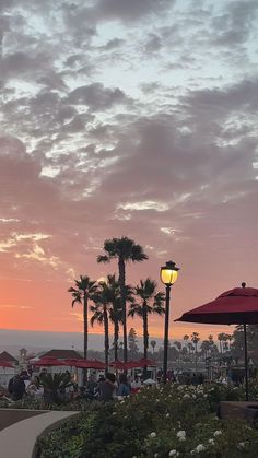 people are sitting under umbrellas on the beach at sunset with palm trees in the background