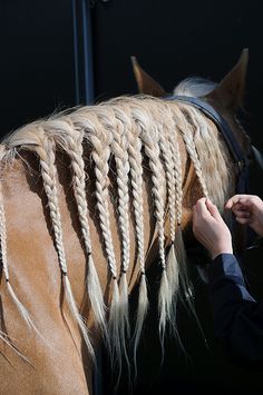 a person that is petting a horse with braids on it's back