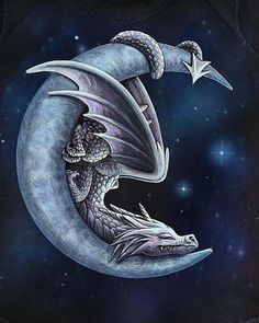 a drawing of a dragon sitting on the moon