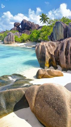 the beach is lined with large rocks and clear blue water, while palm trees stand in the background