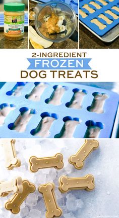 an image of frozen dog treats