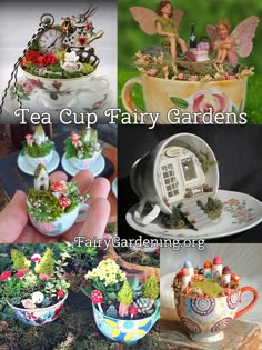 tea cup fairy gardens are displayed in various pictures