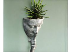 a planter with a face on it is hanging from the side of a wall