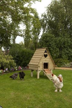 two chickens are standing in the grass next to a dog house and some other animals