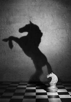 the shadow of a horse on a chess board shows it's head and tail