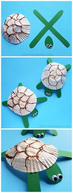 paper plate turtle craft for kids to make