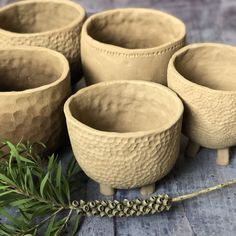 five clay bowls and two sprigs on a wooden table