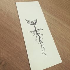 a piece of paper with a plant growing out of it on top of a wooden table