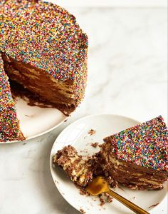 a chocolate cake with sprinkles and a slice cut out on a plate