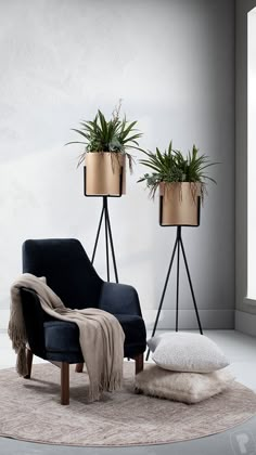 two potted plants sitting on top of a black chair next to a white rug