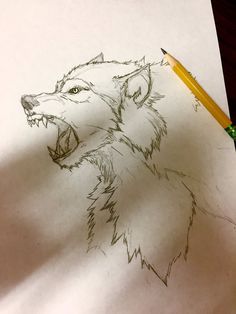 a drawing of a wolf's head with its mouth open and the pencil in front of it