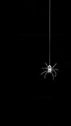 a spider hanging from a wire in the dark