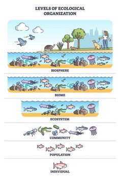 a diagram showing the different levels of water and land that are present in each region