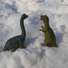 two toy dinosaurs playing in the snow