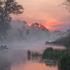 a small boat floating on top of a river next to tall grass and trees at sunset