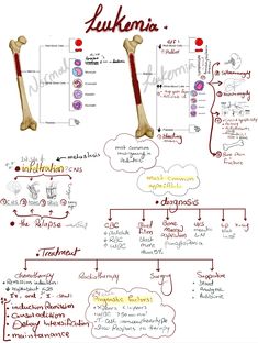 a diagram showing the bones and their functions in human anatomy, as well as an image of