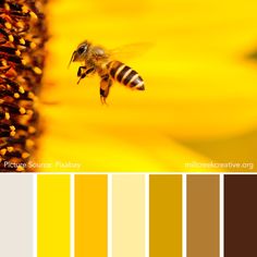 a bee flying over a yellow sunflower