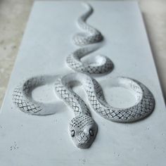 a drawing of a snake is shown on a piece of white paper that has been carved into it