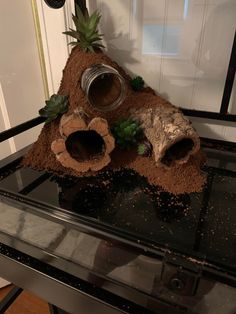 a pile of dirt sitting on top of a glass table next to a door with plants growing out of it