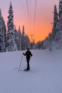 a man riding skis down a snow covered slope next to tall pine tree's