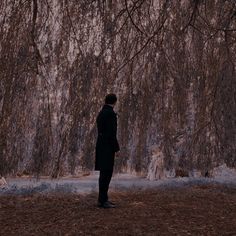 a man standing in front of a tree with no leaves on it and looking at the ground