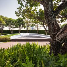 a park with trees, bushes and benches