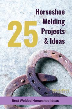 the cover of 25 horse shoe welding projects and ideas, with two rusty horseshoes