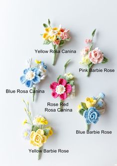 crochet flowers are arranged in different colors and sizes on a white background with the names of each flower