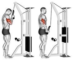 an image of a man doing squats on the smith machine with muscles highlighted in red