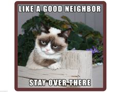 a grumpy cat sitting on top of a wooden fence with the caption like a good neighbor stay over there