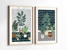 two framed art prints depicting houseplants and potted plants